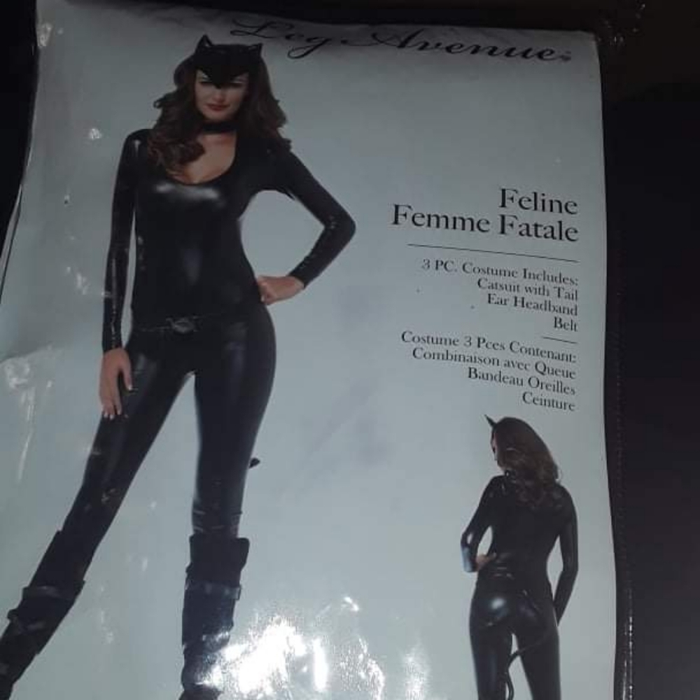 Catwoman outfit